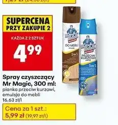 Biedronka Pianka przeciw kurzowi 5w1 Mr Magic oferta