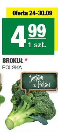 SPAR mini Brokuł oferta