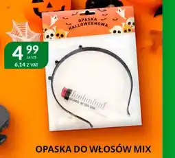 Eurocash Cash & Carry Opaska do włosów mix oferta