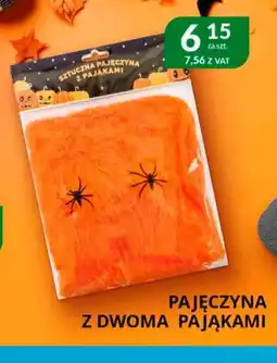 Eurocash Cash & Carry Pajęczyna z dwoma pająkami oferta