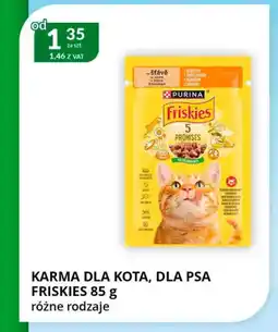Eurocash Cash & Carry Karma dla kota, dla psa friskies oferta