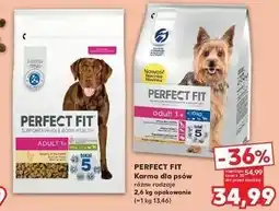 Kaufland Karma dla psa adult 1+ oferta