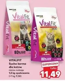 Kaufland Karma z wołowiną Biofeed Vitalfit oferta