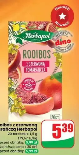 Dino Herbatka rooibos z czerwoną pomarańczą 20 torebek Herbapol oferta