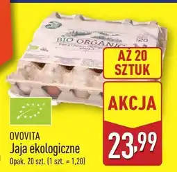 ALDI Jaja ekologiczne 20 szt. Ovovita oferta