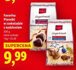 Lidl Pierniki Pierniki w czekoladzie z nadzieniem Favorina 300g oferta