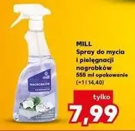 Kaufland Płyn do mycia i pielęgnacji nagrobków Mill oferta