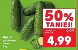Kaufland Ogórek gruntowy oferta