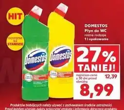 Kaufland Płyn do wc pine Domestos oferta