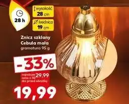 Kaufland Znicz cebula mała 28h oferta