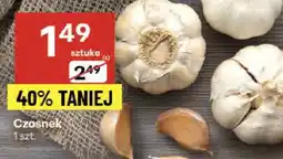 Delikatesy Centrum Czosnek 1 szt. Delikatesy Centrum oferta