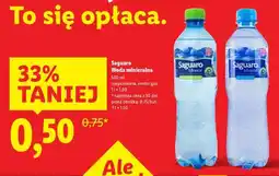 Lidl Saguaro Woda mineralna oferta