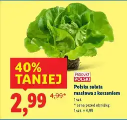 Lidl Polska sałata masłowa z korzeniem oferta