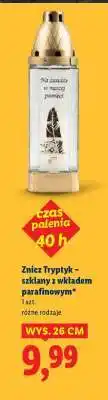 Lidl Znicz Tryptyk oferta