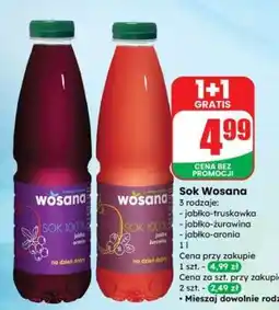 Dino Sok Wosana oferta