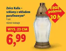Lidl Znicz Kalia – szklany z wkładem parafinowym oferta
