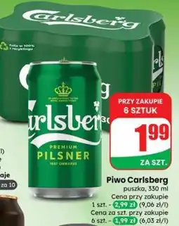 Dino Piwo Carlsberg oferta