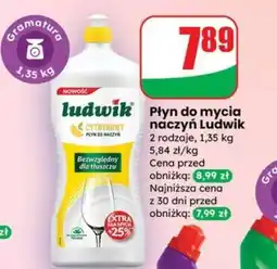Dino Płyn do mycia naczyń Ludwik oferta