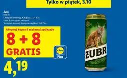 Lidl Piwo Żubr 1768 oferta