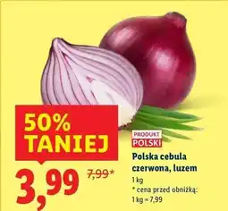 Lidl Cebula czerwona polska oferta