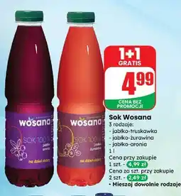 Dino Sok jabłko-aronia Wosana oferta