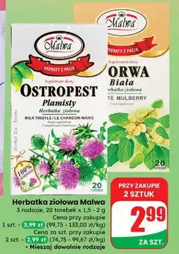 Dino Herbatka morwa biała Malwa Tea oferta