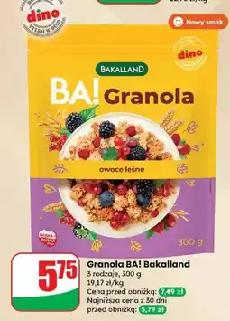 Dino Granola owoce leśne Bakalland Ba! oferta
