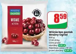 Dino Wiśnie Mroźny Ogród oferta
