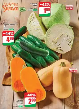 Dino Kapusta biała polska oferta
