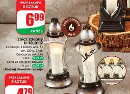 Dino Znicz d-12 oferta