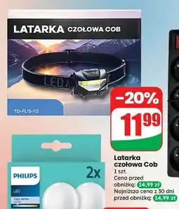 Dino Latarka czołowa led oferta