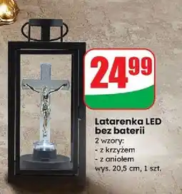 Dino Latarenka z aniołem led oferta