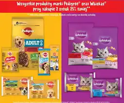 Dino Karma dla kota rybne przysmaki w galaretce Whiskas oferta