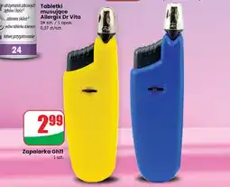 Dino Zapalarka do gazu gh11 oferta