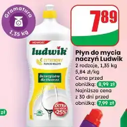 Dino Płyn do mycia naczyń cytrynowy Ludwik oferta