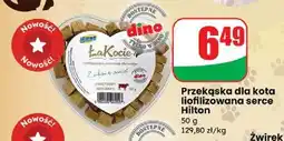 Dino Przekąska dla kota łakocie Hilton oferta