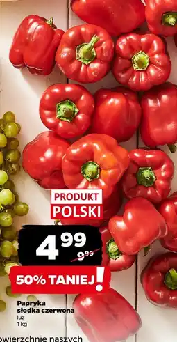 Netto Papryka słodka czerwona luz 1 kg Netto oferta