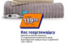 Action Koc rozgrzewający oferta