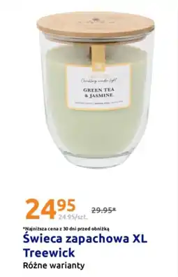 Action Świeca zapachowa XL Treewick oferta