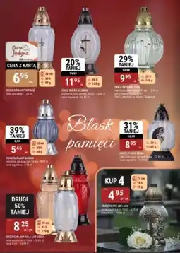 bi1 Znicz oferta