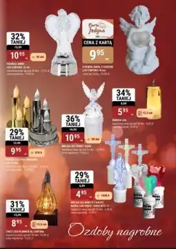 bi1 Znicz oferta