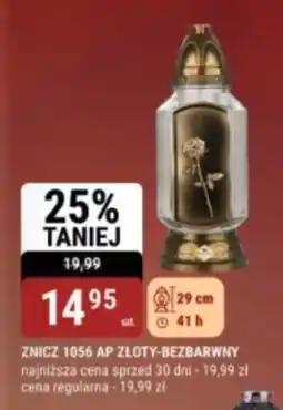bi1 Znicz oferta