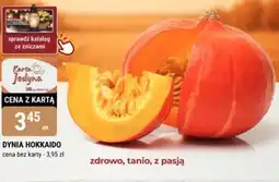 bi1 Dynia oferta