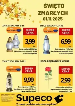 Supeco Róża oferta