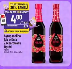 Polomarket Syrop Zaczarowany Ogród oferta