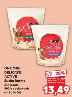 Kaufland ONE MINI DELICATE, ACTIVE Sucha karma dla psów oferta