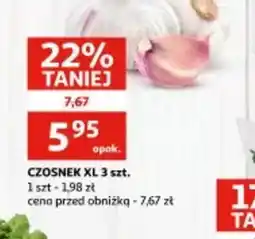 Auchan Czosnek XL oferta