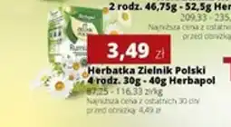 Torimpex Herbatka Zielnik Polski Herbapol oferta
