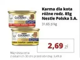 Torimpex Karma dla kota Nestle Polska S.A. oferta