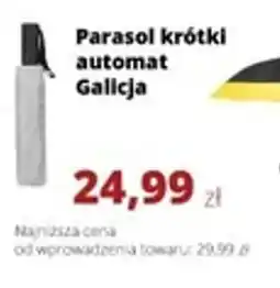 Torimpex Parasol krótki automat Galicja oferta